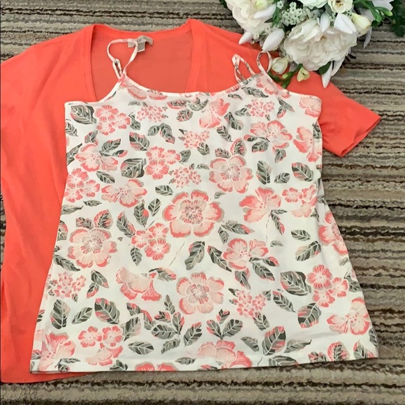 LOFT Cami & short Sleeve sweater - Picture 3 of 5